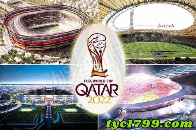 世足2022晉級隊伍與比賽場地